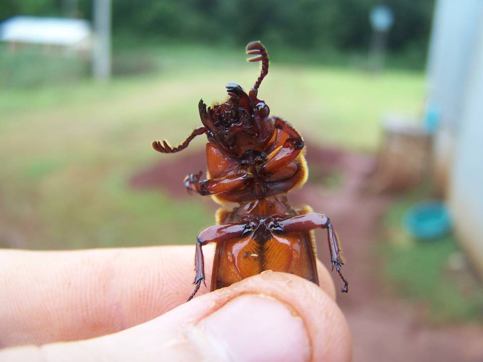 FIGURE 3 FIGURE 3
